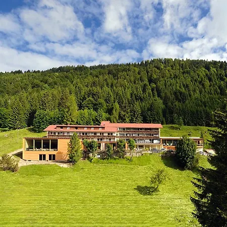 Hotell Bio-berghotel Ifenblick 3*