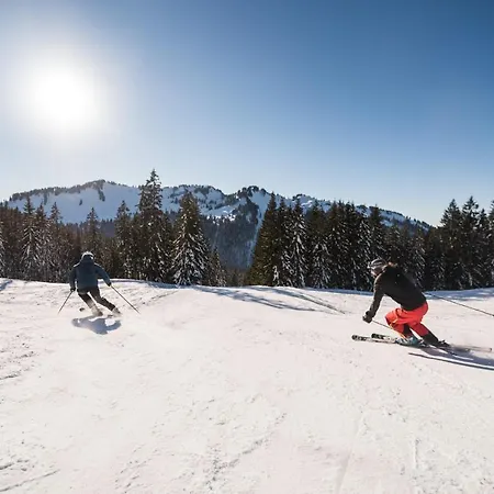 ホテル Bio-berghotel Ifenblick バルダーシュヴァング