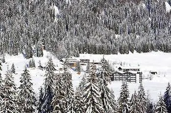 ホテル Bio-berghotel Ifenblick バルダーシュヴァング