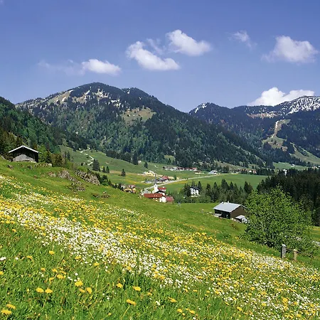 Bio-berghotel Ifenblick فندق 3*