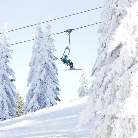 Bio-berghotel Ifenblick 3*