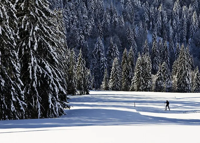 Hotel Bio-berghotel Ifenblick